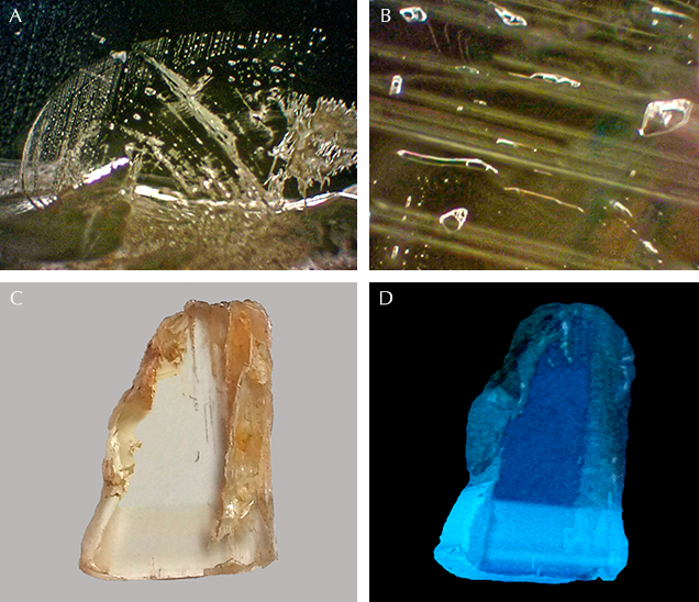 Internal features of Vietnamese danburite. Internal features of Vietnamese danburite.