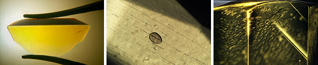Photomicrographs of doublets Photomicrographs of doublets