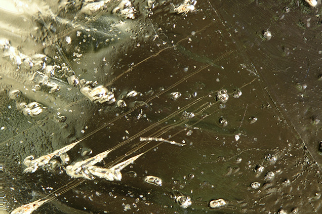 Etch tubes extended from surface etch pits and ended at the twinning plane. Etch tubes extended from surface etch pits and ended at the twinning plane.
