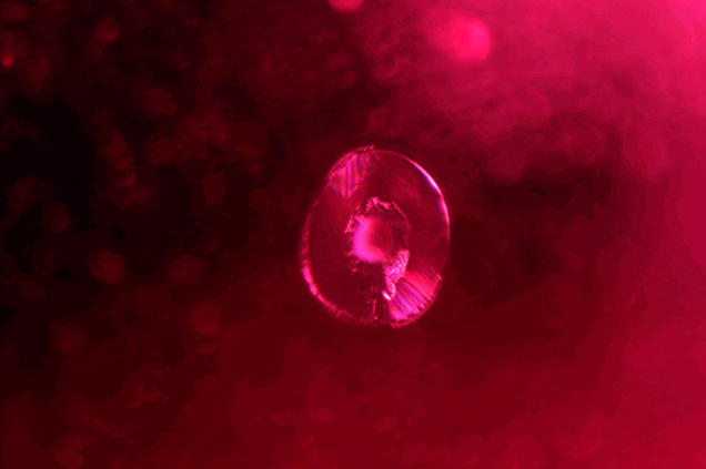 A heat-altered “snowball” crystal inclusion is surrounded by a discoid fracture. A heat-altered “snowball” crystal inclusion is surrounded by a discoid fracture.