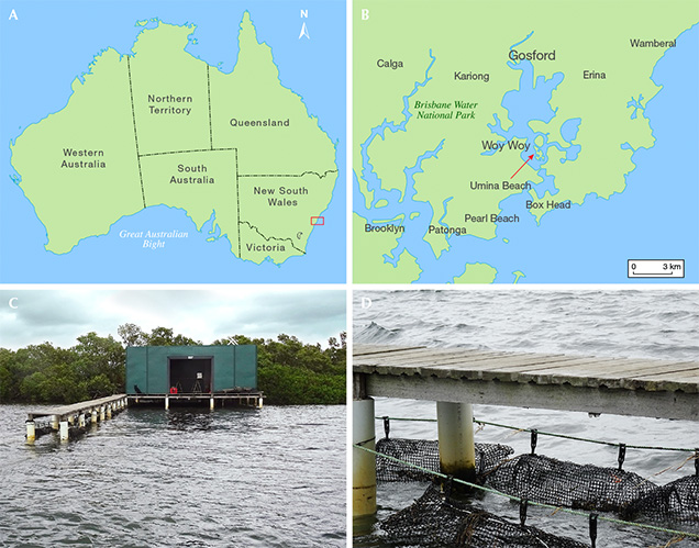 Maps and photos of Australian akoya cultured pearl farm Maps and photos of Australian akoya cultured pearl farm