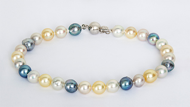 Bracelet containing akoya cultured pearls from Australia Bracelet containing akoya cultured pearls from Australia