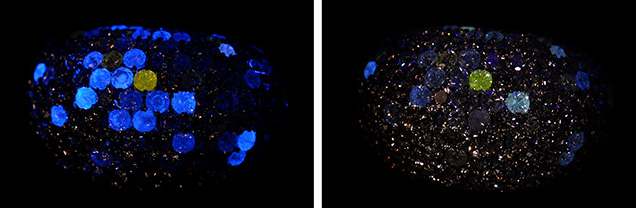 The yellow fluorescence of the HPHT-grown diamond
