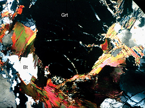 Biotite and garnet in corundum sample Biotite and garnet in corundum sample