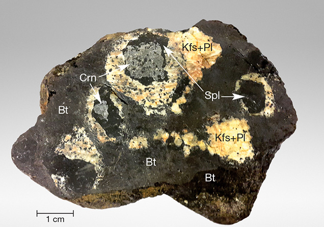 Gray corundum coated by a dark spinel corona Gray corundum coated by a dark spinel corona