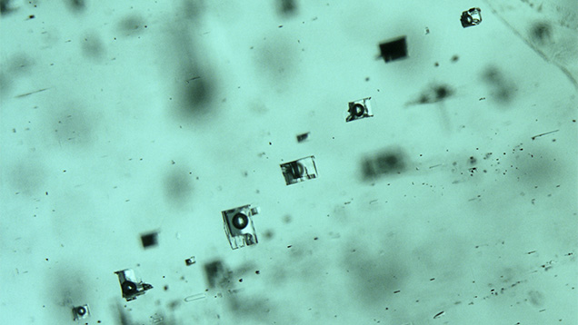 Rectangular blocky fluid inclusions