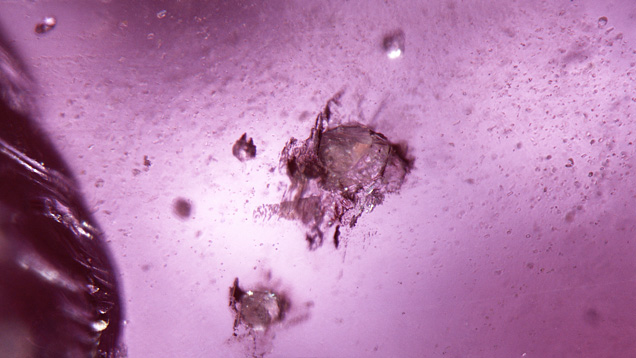 Muscovite inclusions Muscovite inclusions