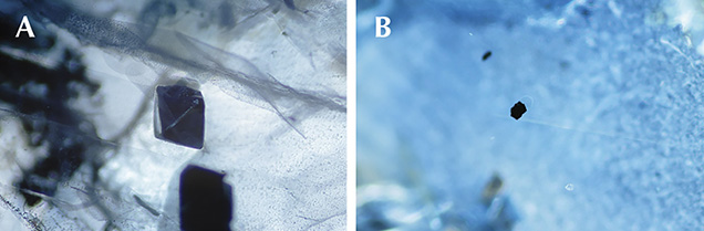 Inclusions of hercynite spinel and ilmenite in sapphires from southern Vietnam Inclusions of hercynite spinel and ilmenite in sapphires from southern Vietnam