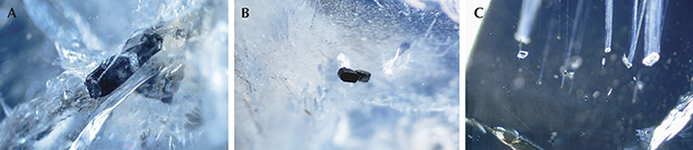 Columbite inclusions in sapphire from southern Vietnam Columbite inclusions in sapphire from southern Vietnam
