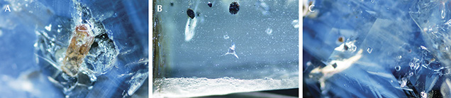 Zircon and feldspar inclusions in sapphires from southern Vietnam Zircon and feldspar inclusions in sapphires from southern Vietnam