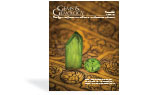 G&G Winter 2021 Cover