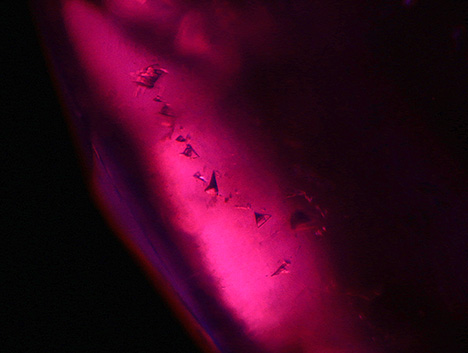 Figure 3. A series of irregular calcite crystals in the ruby from Mogok. Photomicrograph by Huixin Zhao; field of view 1.84 mm. Figure 3. A series of irregular calcite crystals in the ruby from Mogok. Photomicrograph by Huixin Zhao; field of view 1.84 mm.