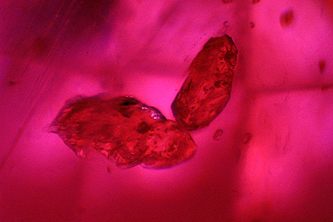 Figure 4. These two transparent brownish hellandite crystals found in a Mogok ruby possibly represent a new ruby inclusion. Photomicrograph by Huixin Zhao; field of view 1.70 mm. Figure 4. These two transparent brownish hellandite crystals found in a Mogok ruby possibly represent a new ruby inclusion. Photomicrograph by Huixin Zhao; field of view 1.70 mm.