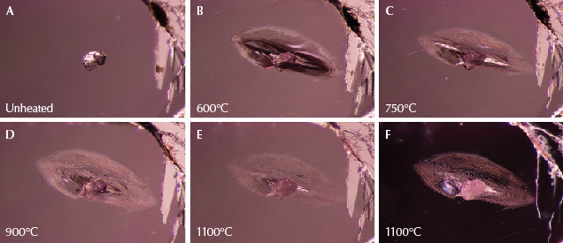 Figure 12. A: A calcite crystal from sample 40, shown in its untreated state. B: A glassy fissure has developed around the crystal. C: The edges of the fissure have begun to heal and assume a cloudy appearance. D: Further healing in the fissure. E: Almost all of the glassy areas have disappeared as the fissure has healed. Meanwhile, the calcite crystal has become more opaque. F: Darkfield illumination shows detailed channels in the fingerprint around the calcite, which is becoming whiter and more opaque. Photomicrographs by E. Billie Hughes; field of view 2.2 mm. Figure 12. A: A calcite crystal from sample 40, shown in its untreated state. B: A glassy fissure has developed around the crystal. C: The edges of the fissure have begun to heal and assume a cloudy appearance. D: Further healing in the fissure. E: Almost all of the glassy areas have disappeared as the fissure has healed. Meanwhile, the calcite crystal has become more opaque. F: Darkfield illumination shows detailed channels in the fingerprint around the calcite, which is becoming whiter and more opaque. Photomicrographs by E. Billie Hughes; field of view 2.2 mm.