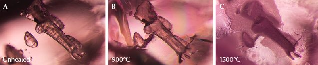 Figure 13. A: These mica crystals in sample 40 show a series of striations. B: Fissures have developed around the mica crystals, and the striations have become much less prominent. C: Significant changes are observed, with the entire area on and around the crystals assuming a frosty white appearance. Photomicrographs by E. Billie Hughes; field of view 3 mm. Figure 13. A: These mica crystals in sample 40 show a series of striations. B: Fissures have developed around the mica crystals, and the striations have become much less prominent. C: Significant changes are observed, with the entire area on and around the crystals assuming a frosty white appearance. Photomicrographs by E. Billie Hughes; field of view 3 mm.