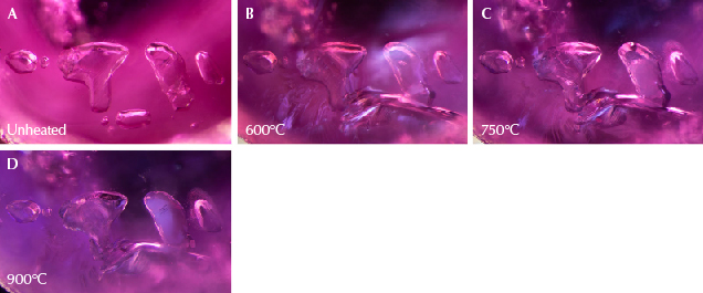 Figure 14. A: A group of transparent calcite crystals in sample 8. B: A large glassy fissure has formed around the cluster. C: The crystal second from the right has changed in texture and become slightly opaque; the one on the far right has also developed a fissure that has begun to heal. D: Note the significant changes to the crystal second from the right, which has taken on a whitish appearance and become opaque. Photomicrographs by E. Billie Hughes; field of view 2 mm. Figure 14. A: A group of transparent calcite crystals in sample 8. B: A large glassy fissure has formed around the cluster. C: The crystal second from the right has changed in texture and become slightly opaque; the one on the far right has also developed a fissure that has begun to heal. D: Note the significant changes to the crystal second from the right, which has taken on a whitish appearance and become opaque. Photomicrographs by E. Billie Hughes; field of view 2 mm.