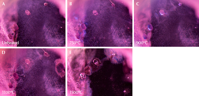 Figure 15. A: In sample 25, the three hexagonal crystals on the left are mica, while the crystal at top right is garnet. The scene also contains nests of undissolved rutile silk in intersecting needles. B: Shiny fissures appear around three of the four crystals. The crystal third from the left does not display a fissure, despite being mica like the first two crystals. The garnet does display a fissure, however. C: All four crystals have altered, and the fissures have begun to heal at the edges. D: More changes can be noted as existing fissures have expanded and healed further. New fingerprints have developed to the right of the garnet crystal. Through four rounds of heat, the rutile silk in the background remains unaltered. E: Fissures now show significant alteration, with cloudy areas and drippy channels. The three mica crystals on the left have become more transparent and contain several immobile gas bubbles. In the background, the rutile silk needles have altered significantly, partially dissolving into shorter, broken needles and dotted particles. The previously “silky” area appears more transparent. Photomicrographs by E. Billie Hughes; field of view 3 mm. Figure 15. A: In sample 25, the three hexagonal crystals on the left are mica, while the crystal at top right is garnet. The scene also contains nests of undissolved rutile silk in intersecting needles. B: Shiny fissures appear around three of the four crystals. The crystal third from the left does not display a fissure, despite being mica like the first two crystals. The garnet does display a fissure, however. C: All four crystals have altered, and the fissures have begun to heal at the edges. D: More changes can be noted as existing fissures have expanded and healed further. New fingerprints have developed to the right of the garnet crystal. Through four rounds of heat, the rutile silk in the background remains unaltered. E: Fissures now show significant alteration, with cloudy areas and drippy channels. The three mica crystals on the left have become more transparent and contain several immobile gas bubbles. In the background, the rutile silk needles have altered significantly, partially dissolving into shorter, broken needles and dotted particles. The previously “silky” area appears more transparent. Photomicrographs by E. Billie Hughes; field of view 3 mm.