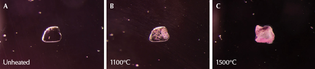 Figure 16. A: This transparent spinel crystal in sample 39 retains the same appearance through subsequent rounds of heating to 600°, 750°, and 900°C. B: The spinel crystal has begun to change in appearance and started to develop elongated lines. C: The crystal has taken on a frosty, whitish appearance. Photomicrographs by E. Billie Hughes; field of view 1.5 mm. Figure 16. A: This transparent spinel crystal in sample 39 retains the same appearance through subsequent rounds of heating to 600°, 750°, and 900°C. B: The spinel crystal has begun to change in appearance and started to develop elongated lines. C: The crystal has taken on a frosty, whitish appearance. Photomicrographs by E. Billie Hughes; field of view 1.5 mm.