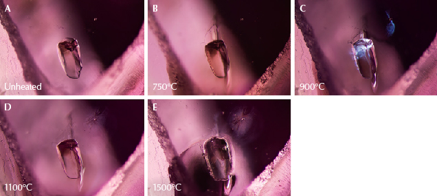 Figure 17. A: Sample 39 shows a spinel crystal in the center, with a small crystal to the top right. B: The large crystal has developed a glassy fissure. C: The smaller crystal also has a shiny fissure. Diffused fiber-optic illumination has been added to the transmitted light used in the other steps to better highlight the fissures. D: The fissures begin to heal, creating fingerprints around the crystals. E: The fissures have expanded and appear cloudier. The larger crystal’s surface has altered, while the smaller crystal displays a more rounded, bubble-like appearance. Photomicrographs by E. Billie Hughes; field of view 3 mm. Figure 17. A: Sample 39 shows a spinel crystal in the center, with a small crystal to the top right. B: The large crystal has developed a glassy fissure. C: The smaller crystal also has a shiny fissure. Diffused fiber-optic illumination has been added to the transmitted light used in the other steps to better highlight the fissures. D: The fissures begin to heal, creating fingerprints around the crystals. E: The fissures have expanded and appear cloudier. The larger crystal’s surface has altered, while the smaller crystal displays a more rounded, bubble-like appearance. Photomicrographs by E. Billie Hughes; field of view 3 mm.