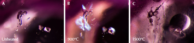 Figure 21. A: Sample 37 shows dark crystals of primary rutile, along with clouds of exsolved rutile silk. B: Small fissures have begun to form around some of the primary rutile crystals. C: The fissures have expanded and begun to heal, though the primary rutile crystals appear unaltered and the rutile silk needles in the background are intact. Photomicrographs by E. Billie Hughes; field of view 2 mm. Figure 21. A: Sample 37 shows dark crystals of primary rutile, along with clouds of exsolved rutile silk. B: Small fissures have begun to form around some of the primary rutile crystals. C: The fissures have expanded and begun to heal, though the primary rutile crystals appear unaltered and the rutile silk needles in the background are intact. Photomicrographs by E. Billie Hughes; field of view 2 mm.