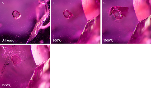 Figure 25. A: Sample 37 shows a rounded apatite crystal next to a fissure, with rutile silk needles at the bottom. B: Part of the sample has broken at the site of the fissure, as seen on the right of the image. Still, the apatite crystal does not show clear signs of alteration. C: A shiny fissure has developed around the crystal, indicating heat damage. D: The crystal has a more frosty texture, and the fissure around it has begun to heal. Photomicrographs by E. Billie Hughes; field of view 1 mm. Figure 25. A: Sample 37 shows a rounded apatite crystal next to a fissure, with rutile silk needles at the bottom. B: Part of the sample has broken at the site of the fissure, as seen on the right of the image. Still, the apatite crystal does not show clear signs of alteration. C: A shiny fissure has developed around the crystal, indicating heat damage. D: The crystal has a more frosty texture, and the fissure around it has begun to heal. Photomicrographs by E. Billie Hughes; field of view 1 mm.