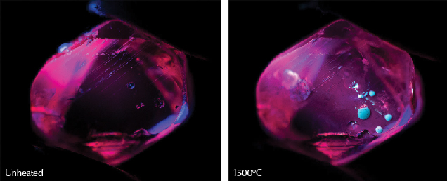 Figure 34. Left: Sample 12 displays strong red fluorescence in short-wave UV before heating and with each subsequent round until the highest temperature round. Right: At a relatively high temperature of 1500°C, it develops a medium chalky fluorescence. The bright round chalky features here are molten material that has hardened on the surface. Photos by E. Billie Hughes. Figure 34. Left: Sample 12 displays strong red fluorescence in short-wave UV before heating and with each subsequent round until the highest temperature round. Right: At a relatively high temperature of 1500°C, it develops a medium chalky fluorescence. The bright round chalky features here are molten material that has hardened on the surface. Photos by E. Billie Hughes.