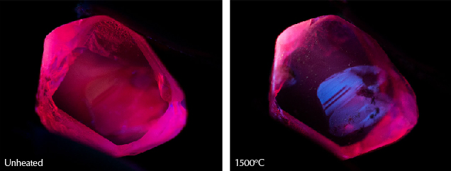 Figure 35. Left: Sample 46 displays a strong red short-wave fluorescence in its unheated state. Like the other samples tested, it did not display any change in appearance in short-wave UV illumination until after the last round of heating. Right: After heating to 1500°C, the ruby displays a clear, zoned chalky appearance in short-wave UV. Photos by E. Billie Hughes. Figure 35. Left: Sample 46 displays a strong red short-wave fluorescence in its unheated state. Like the other samples tested, it did not display any change in appearance in short-wave UV illumination until after the last round of heating. Right: After heating to 1500°C, the ruby displays a clear, zoned chalky appearance in short-wave UV. Photos by E. Billie Hughes.