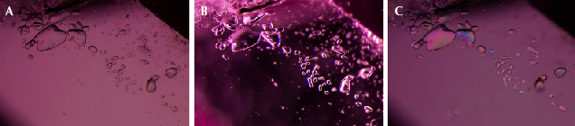 Figure 4. A: In sample 5, transmitted light reveals a variety of transparent rounded crystals of relatively high relief compared to the surrounding corundum. They appear to be nearly colorless. B: The same crystals in darkfield illumination. C: Between crossed polarizers, the same crystals display interference colors, suggesting that they are doubly refractive. Micro-Raman analysis identified these as calcite. Photomicrographs by E. Billie Hughes; field of view 2 mm. Figure 4. A: In sample 5, transmitted light reveals a variety of transparent rounded crystals of relatively high relief compared to the surrounding corundum. They appear to be nearly colorless. B: The same crystals in darkfield illumination. C: Between crossed polarizers, the same crystals display interference colors, suggesting that they are doubly refractive. Micro-Raman analysis identified these as calcite. Photomicrographs by E. Billie Hughes; field of view 2 mm.