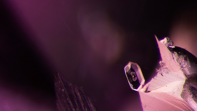 Figure 7. A zircon crystal in an untreated Burmese ruby, sample 41. Zircon was a frequent inclusion in the Burmese ruby samples. Photomicrograph by E. Billie Hughes; field of view 2 mm. Figure 7. A zircon crystal in an untreated Burmese ruby, sample 41. Zircon was a frequent inclusion in the Burmese ruby samples. Photomicrograph by E. Billie Hughes; field of view 2 mm.