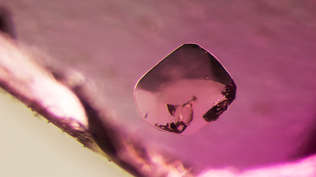 Figure 8. Spinel crystals, such as this one in sample 15, were seen frequently in the Burmese ruby samples. Photomicrograph by E. Billie Hughes; field of view 3 mm. Figure 8. Spinel crystals, such as this one in sample 15, were seen frequently in the Burmese ruby samples. Photomicrograph by E. Billie Hughes; field of view 3 mm.