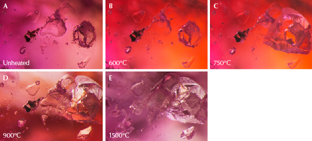 Figure 9. A: In sample 30, the large transparent crystal in the center is spinel, and on the right is a calcite crystal containing liquid CO2. B: The background color has changed dramatically because the color of the stained fissure in the background has altered significantly. The ruby’s bodycolor does not appear to have undergone major change. C: The crystal to the right has exploded, leaving a small surface-reaching hole. On the top left, a glassy discoid can be seen around a small crystal. D: The staining in the background has again changed color. E: Much alteration is visible, with partially healed fissures in several spots. Photomicrographs by E. Billie Hughes; field of view 2 mm. Figure 9. A: In sample 30, the large transparent crystal in the center is spinel, and on the right is a calcite crystal containing liquid CO2. B: The background color has changed dramatically because the color of the stained fissure in the background has altered significantly. The ruby’s bodycolor does not appear to have undergone major change. C: The crystal to the right has exploded, leaving a small surface-reaching hole. On the top left, a glassy discoid can be seen around a small crystal. D: The staining in the background has again changed color. E: Much alteration is visible, with partially healed fissures in several spots. Photomicrographs by E. Billie Hughes; field of view 2 mm.