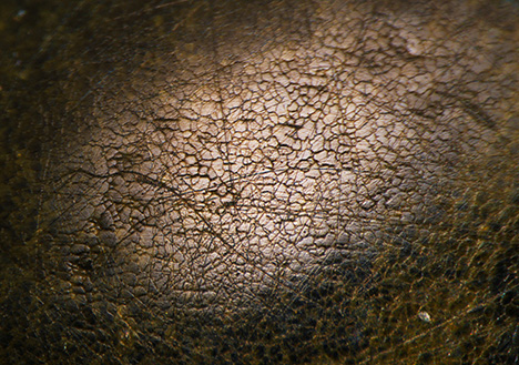Figure 3. The non-nacreous surface of both pearls exhibited a similar cellular structure that could be viewed under high magnification using fiber-optic illumination. Some fine surface lines were present in random directions across the cellular structures. Photomicrograph by Artitaya Homkrajae; field of view 1.59 mm.