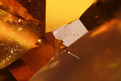 Figure 3. An irregular-shaped opening on the girdle where fluids/melts permeated through the diamond and formed the internal etch channels. Photomicrograph by Matthew Hardman; field of view 1.26 mm. Figure 3. An irregular-shaped opening on the girdle where fluids/melts permeated through the diamond and formed the internal etch channels. Photomicrograph by Matthew Hardman; field of view 1.26 mm.