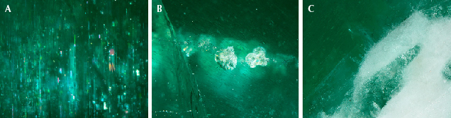 Figure 2. Inclusions observed in the large cat’s-eye emerald. A: Rain-like inclusions; field of view 2.18 mm. B: Unknown whitish granular flake-like inclusions; field of view 5.70 mm. C: Aggregates of tiny whitish feldspar crystals confirmed by Raman spectroscopy; field of view 3.60 mm. Photomicrographs by Makoto Miura. Figure 2. Inclusions observed in the large cat’s-eye emerald. A: Rain-like inclusions; field of view 2.18 mm. B: Unknown whitish granular flake-like inclusions; field of view 5.70 mm. C: Aggregates of tiny whitish feldspar crystals confirmed by Raman spectroscopy; field of view 3.60 mm. Photomicrographs by Makoto Miura.