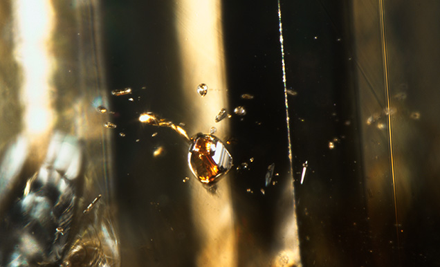 Figure 3. Multiple orange inclusions were observed in this bicolor diamond. The largest was identified as pyrope-almandine-grossular garnet. Photomicrograph by Mei Yan Lai; field of view 1.76 mm. Figure 3. Multiple orange inclusions were observed in this bicolor diamond. The largest was identified as pyrope-almandine-grossular garnet. Photomicrograph by Mei Yan Lai; field of view 1.76 mm.