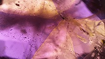 This 0.69 ct alexandrite showed a stellate structure due to cyclic crystal twinning and pleochroism, producing a kaleidoscope effect when rotated. These photomicrographs were taken with a single polarizer placed above the stone and a white diffuser below the stone to highlight the color. Photomicrographs by Makoto Miura; field of view 9.80 mm. This 0.69 ct alexandrite showed a stellate structure due to cyclic crystal twinning and pleochroism, producing a kaleidoscope effect when rotated. These photomicrographs were taken with a single polarizer placed above the stone and a white diffuser below the stone to highlight the color. Photomicrographs by Makoto Miura; field of view 9.80 mm.