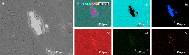 Figure 15. Element mapping of sample S6 using SEM-EDS. A: A long square columnar disseminated mineral showing high contrast. B: Element mapping of the sample for silicon, iron, oxygen, calcium, and carbon. Figure 15. Element mapping of sample S6 using SEM-EDS. A: A long square columnar disseminated mineral showing high contrast. B: Element mapping of the sample for silicon, iron, oxygen, calcium, and carbon.