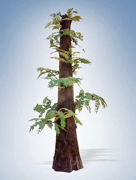 Figure A-1. Tempskya sp. reconstruction. Illustration by Matteo De Stefano/MUSE; courtesy of MUSE - Science Museum of Trent in cooperation with Wikimedia Italia. Figure A-1. Tempskya sp. reconstruction. Illustration by Matteo De Stefano/MUSE; courtesy of MUSE - Science Museum of Trent in cooperation with Wikimedia Italia.