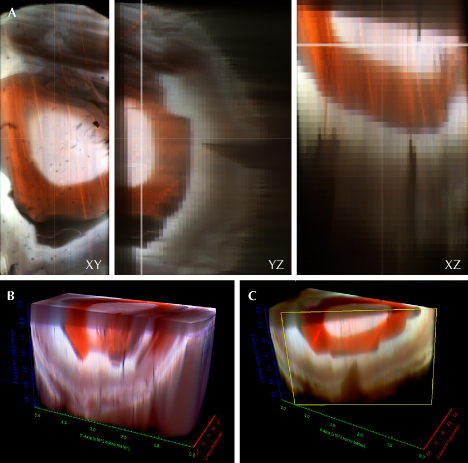 Three-dimensional imaging of a sample, showing cross-sectional views (XY, YZ, XZ) and 3D renderings (B, C) with varying color gradients.