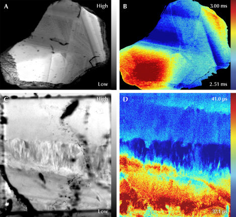 Four images showing different views of a sample: A and C in grayscale, B and D in color with varying time scales.