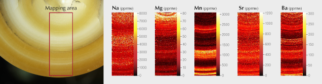 Figure 18. LA-ICP-MS elemental maps of a cross section of a cultured pearl. The red rectangle indicates the area mapped, measuring 1200 × 3400 μm. Figure 18. LA-ICP-MS elemental maps of a cross section of a cultured pearl. The red rectangle indicates the area mapped, measuring 1200 × 3400 μm.