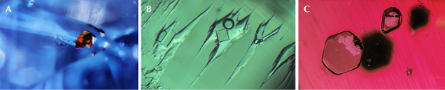 Figure 6. Photomicrography of inclusions: pyrochlore in a Cambodian sapphire (A), multiphase in a Colombian emerald (B), and sulfides in a Mozambique ruby (C). Photomicrographs by Nathan Renfro and Jonathan Muyal (C). Figure 6. Photomicrography of inclusions: pyrochlore in a Cambodian sapphire (A), multiphase in a Colombian emerald (B), and sulfides in a Mozambique ruby (C). Photomicrographs by Nathan Renfro and Jonathan Muyal (C).
