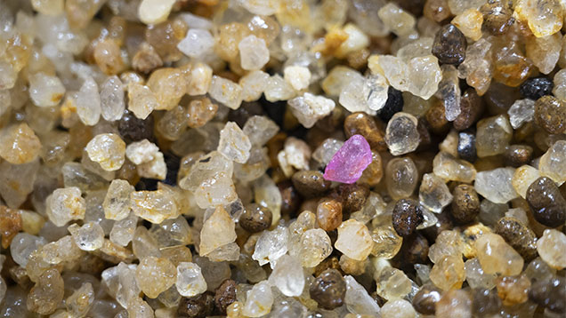 Figure 3. Secondary deposits can concentrate gems with very different geological formation conditions, such as quartz and corundum (pink sapphire), which cannot coexist at equilibrium in the earth’s crust. Photo by Wim Vertriest. Figure 3. Secondary deposits can concentrate gems with very different geological formation conditions, such as quartz and corundum (pink sapphire), which cannot coexist at equilibrium in the earth’s crust. Photo by Wim Vertriest.