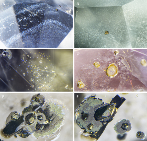 Figure 12. Inclusion scenes in French Bar sill sapphires. A: Angular to hexagonal bands of fine to elongate exsolved rutile silk and particulate platelets, as well as larger rutile crystals (RK-FBS 030). B: Primary protogenetic orange-brown rutile crystal (RK-FBS 051). C: Glassy silicate melt inclusions, natural melty fingerprints, and Rose channels (RK-FBS 030). D: Glassy silicate melt inclusions with partial decrepitation haloes (RK-FBS 030). E and F: Angular metallic included crystals with a black to gold appearance (depending upon lighting), which confocal micro-Raman spectra identified as pyrrhotite (RK-FBS 044). Photomicrographs by Nathan Renfro (A and C–F) and Christopher Smith (B); fields of view 2.07 mm (A), 1.21 mm (B), 1.23 mm (C), 1.31 mm (D), 2.13 mm (E), and 1.93 mm (F). Figure 12. Inclusion scenes in French Bar sill sapphires. A: Angular to hexagonal bands of fine to elongate exsolved rutile silk and particulate platelets, as well as larger rutile crystals (RK-FBS 030). B: Primary protogenetic orange-brown rutile crystal (RK-FBS 051). C: Glassy silicate melt inclusions, natural melty fingerprints, and Rose channels (RK-FBS 030). D: Glassy silicate melt inclusions with partial decrepitation haloes (RK-FBS 030). E and F: Angular metallic included crystals with a black to gold appearance (depending upon lighting), which confocal micro-Raman spectra identified as pyrrhotite (RK-FBS 044). Photomicrographs by Nathan Renfro (A and C–F) and Christopher Smith (B); fields of view 2.07 mm (A), 1.21 mm (B), 1.23 mm (C), 1.31 mm (D), 2.13 mm (E), and 1.93 mm (F).