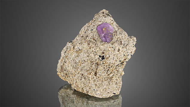 Figure 20. Pink sapphires are occasionally seen in French Bar sill basaltic trachyandesite (CRK-FBS 047). This 10 mm long pink sapphire crystal is outlined in easily visible biotite (phlogopite). Photo by Jeff Mason. Figure 20. Pink sapphires are occasionally seen in French Bar sill basaltic trachyandesite (CRK-FBS 047). This 10 mm long pink sapphire crystal is outlined in easily visible biotite (phlogopite). Photo by Jeff Mason.