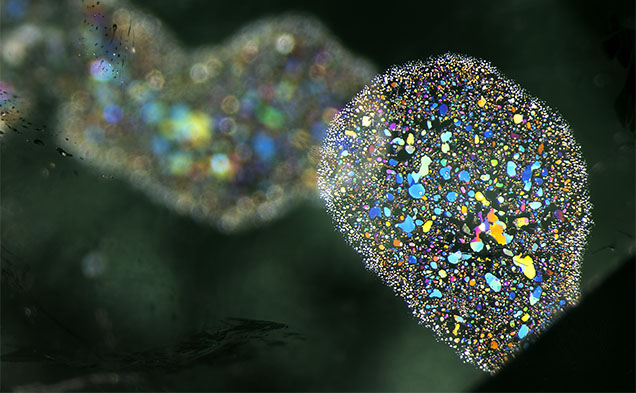 Figure 2. Like an artist’s palette, clusters of stacked thin films create a bouquet of color inside this Russian emerald. Photomicrograph by E. Billie Hughes; field of view 5.4 mm. Figure 2. Like an artist’s palette, clusters of stacked thin films create a bouquet of color inside this Russian emerald. Photomicrograph by E. Billie Hughes; field of view 5.4 mm.
