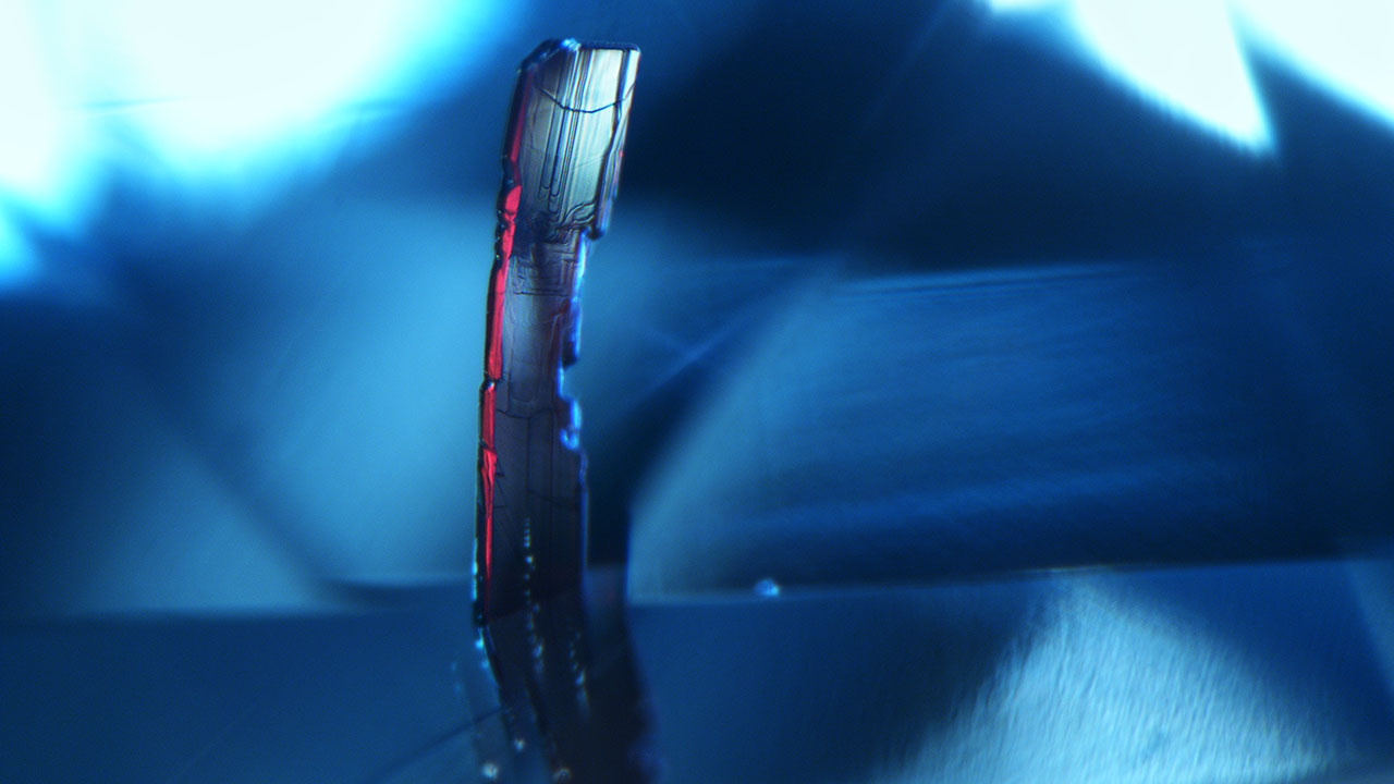 Red prismatic tantalite breaking the surface of a greenish blue sapphire. Photomicrograph by Axle Estrella; field of view 1.93 mm.