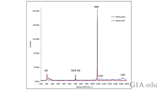 Figure: 5 - Spectra of the dyed shell with the missing polyenic peaks at ~1120 cm-1 & 1520 cm-1, compared to that of a naturally colored Melo species pearl. Figure: 5 - Spectra of the dyed shell with the missing polyenic peaks at ~1120 cm-1 & 1520 cm-1, compared to that of a naturally colored Melo species pearl.
