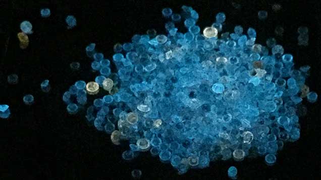 Blue phosphorescence in HPHT synthetic diamond melee Blue phosphorescence in HPHT synthetic diamond melee