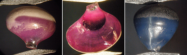 Outer surface of synthetic star ruby, sapphire by Wiede’s Outer surface of synthetic star ruby, sapphire by Wiede’s